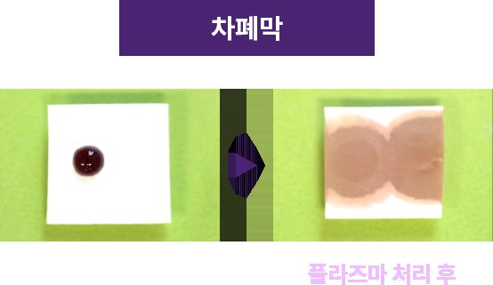 차폐막(멤브레인) 모습